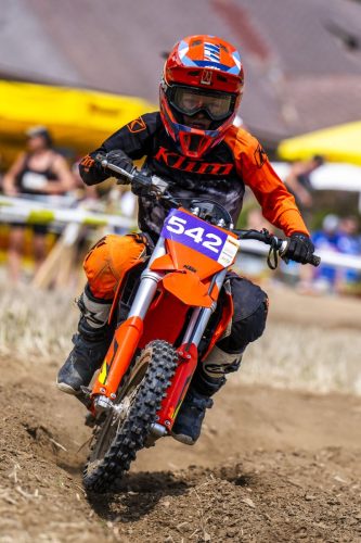 cmichael jurtin-336